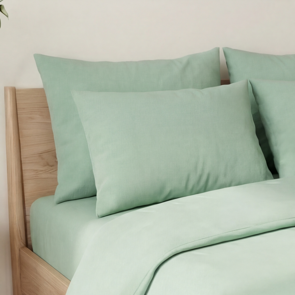 Harmony Tek Kişilik %100 Pamuk Nevresim  Takımı - Lastikli Çarşaflı