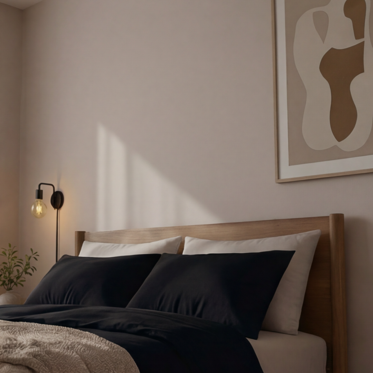 Harmony Tek Kişilik %100 Pamuk Nevresim  Takımı - Lastikli Çarşaflı